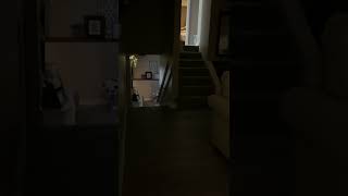 Download Lagu Prank Ing, my dad with water MP3