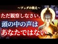 【ブッダの教え】衝撃の真実。昼夜鳴り響く頭の声から脱した時「真の自分」を取り戻す。
