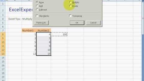 ExcelExperts.com - Excel Tips - Multiply Formulas By 100