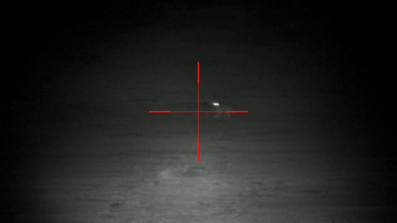 ATN 4k pro and sniper hog lights 66lrx, Coyote hunting, night vision YouTube