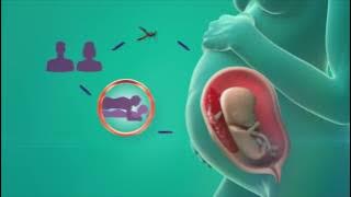 Zika condom use during pregnancy, 30sec video spot, PSI