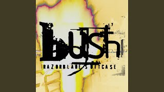 Video thumbnail of "Bush - Old"