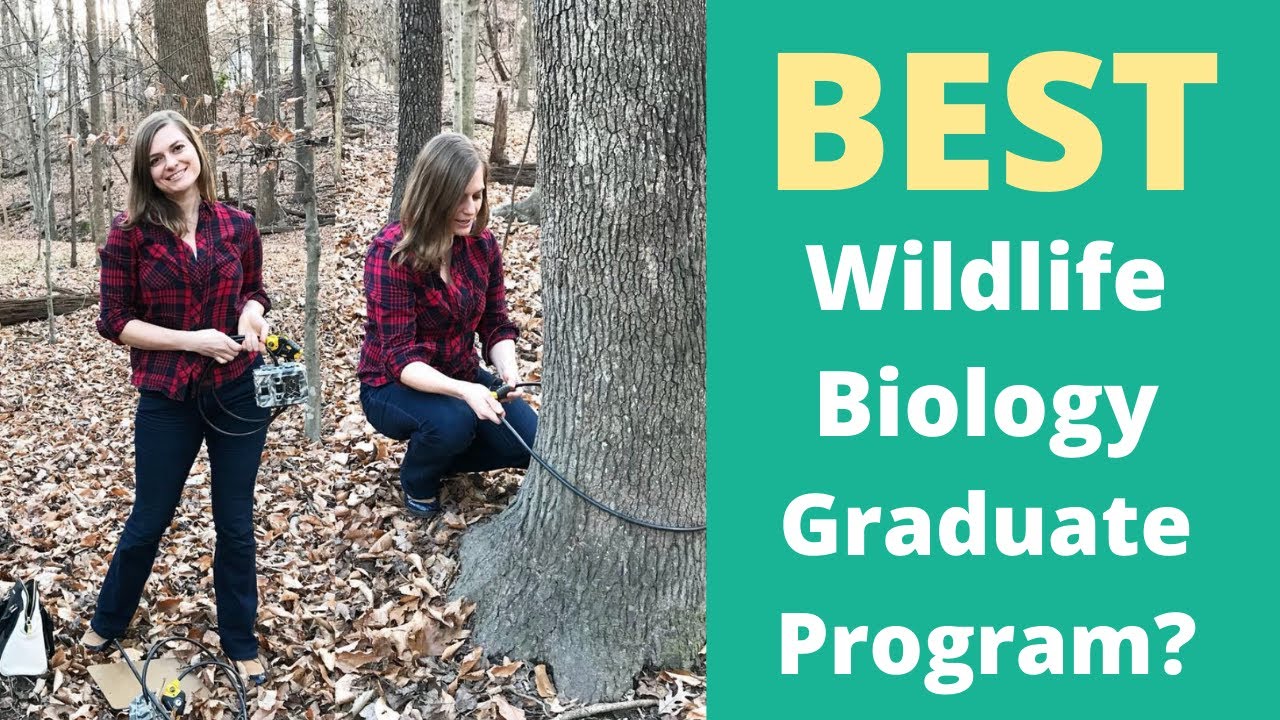 best wildlife biology phd programs