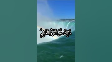 القرآن الكريم حالات واتساب يوم ترى المؤمنين والمؤمنات
