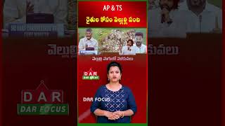 AP & TS Garlic Farming: Invest ₹40,000 per Acre, Earn ₹5–6 Lakh in 6 Months | Latest updates