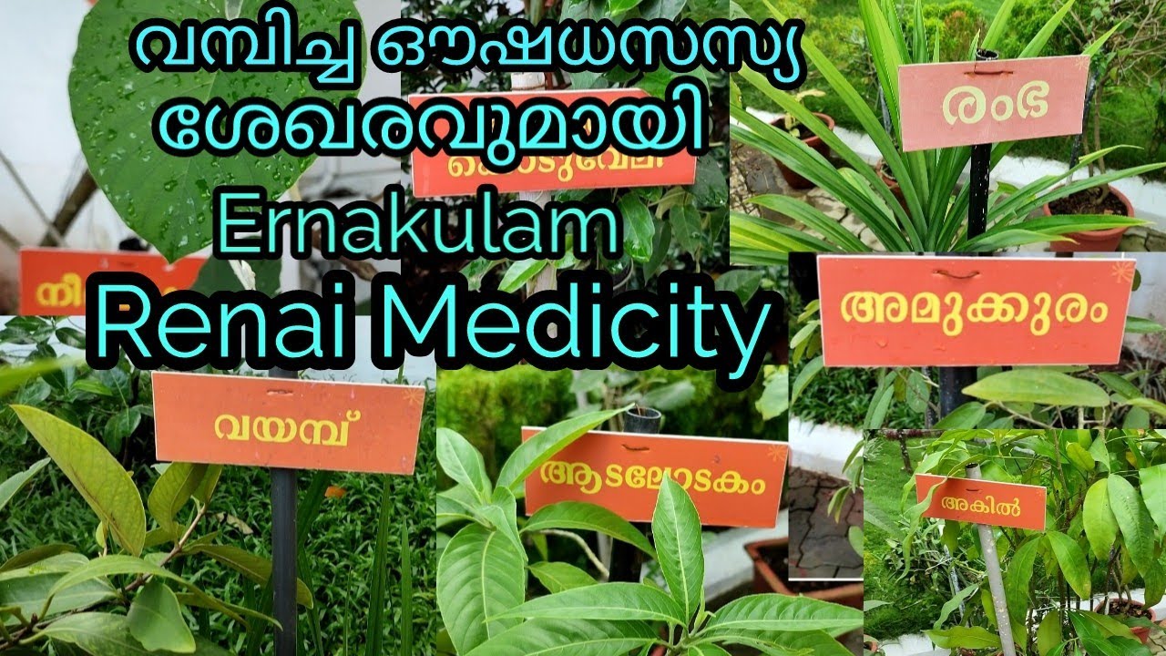 Medicinal Plants in Renai Medicity, Ernakulam Oushadha Sasyangal