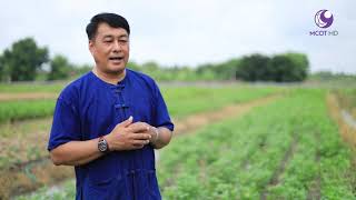 คนไทยหัวใจเกษตร 11 ธันวาคม 2562 B2