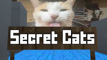 All Secret Cats in slide_blehh + Tutorial [Krunker]