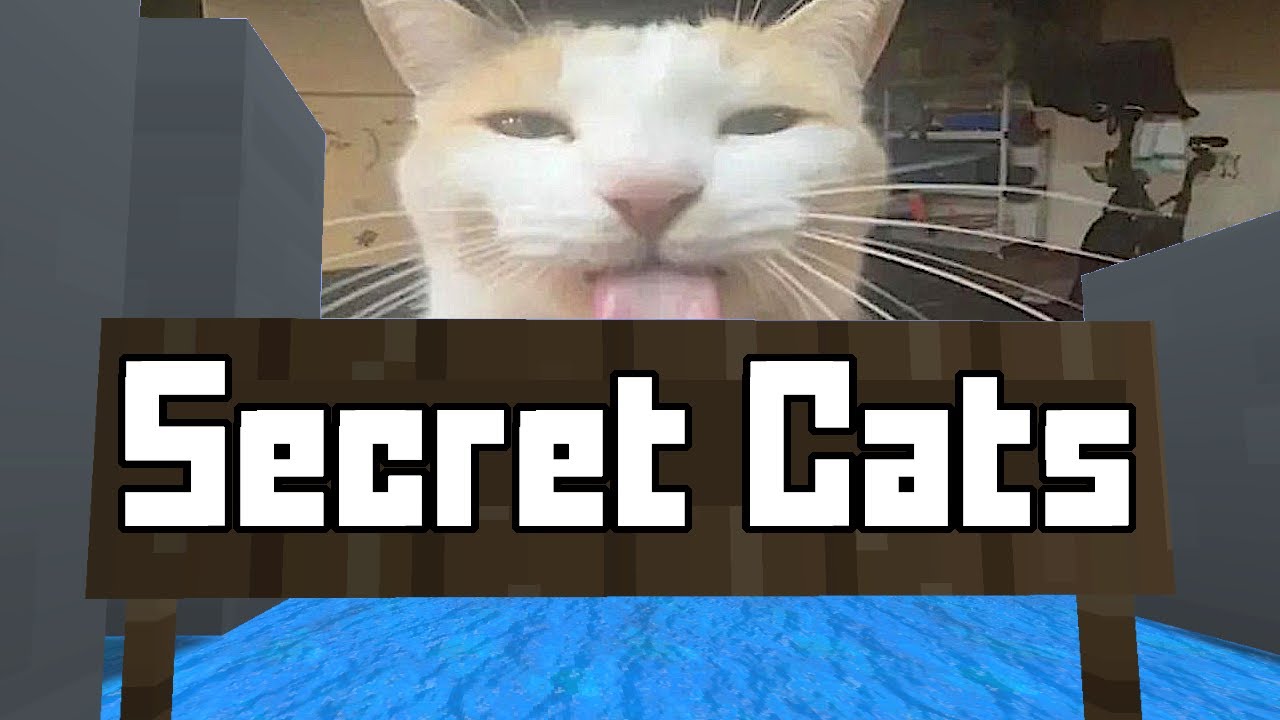 All Secret Cats in slide_blehh + Tutorial [Krunker]