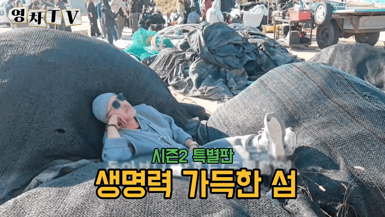 [영차TV] 생명력 가득한 섬 ⎮ 특별판