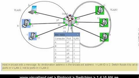 Switch: 1.4 Why VLAN? How does it limit broadcasting? [for beginners]