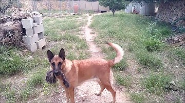 Feiyu Vimble 2 + Xiaomi Redmi 5 Plus test