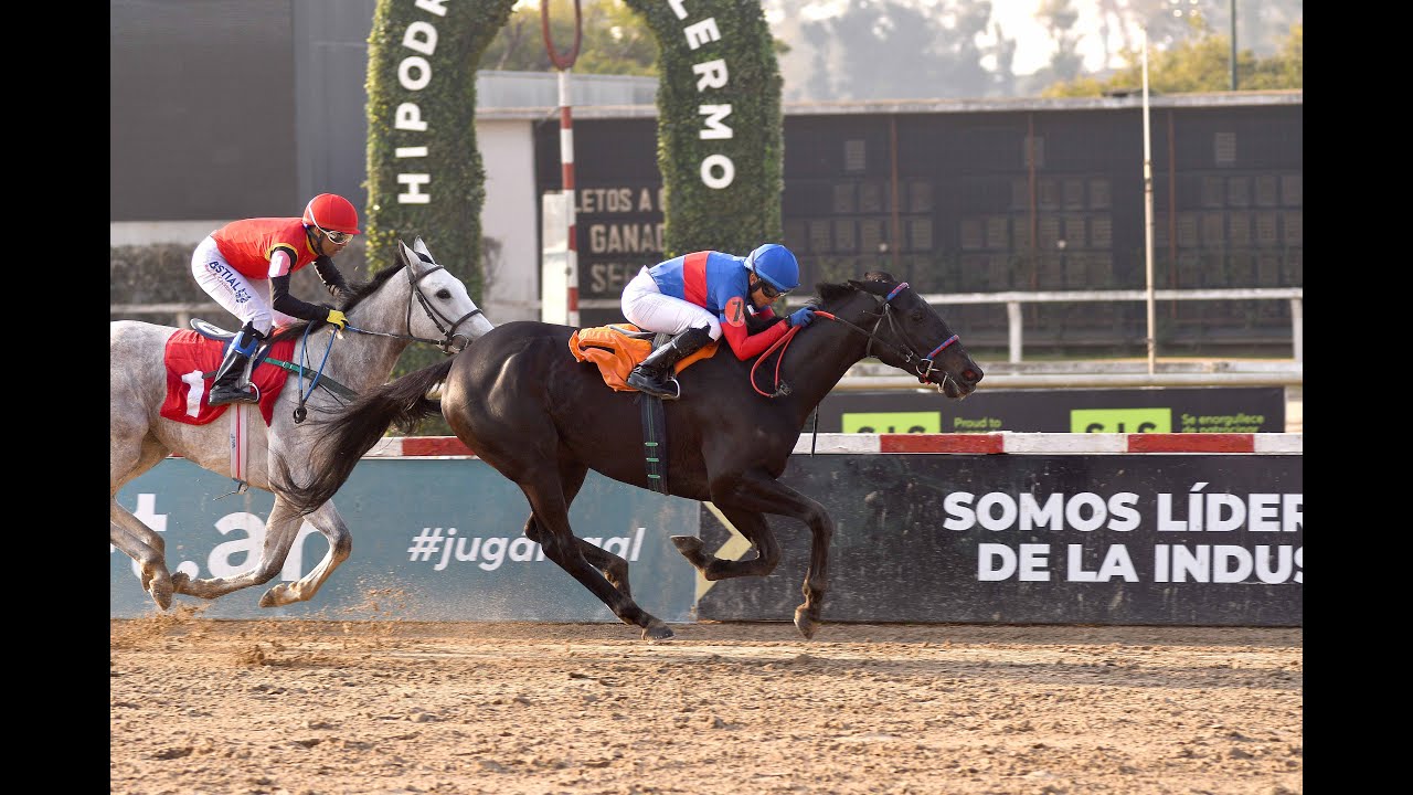Clásico Ignacio, Ignacio F. e Ignacio Correas (G2) 2025 - Ceniza Pampa (Hat Ninja)