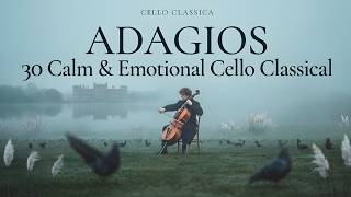 30 Most Beautiful Cello Adagios | Calm & Emotional Classical Music to Unwind – Satie, Bach, Fauré screenshot 4