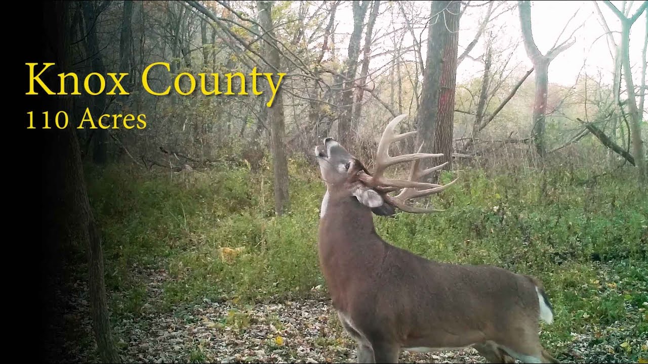 Diverse Recreational Property For Sale In Knox County, IL (110 Acres