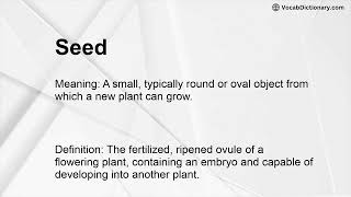 Seed Meaning