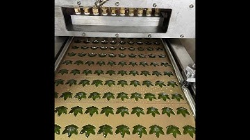 High quality of CBD gummy filling line by different molds, customized for your wishes