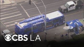 Celebrity 1 pedestrian killed in Santa Monica bus crash Net Worth