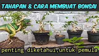 Penting Diketahui Untuk Pemulainilah Tahapan Membuat Bonsai gonesbonsai57