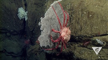 New technology for measuring ocean change