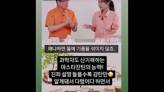 아스타잔틴이 주목받는 이유, 그 놀라운 항산화 능력