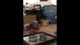 House Floor Cracking