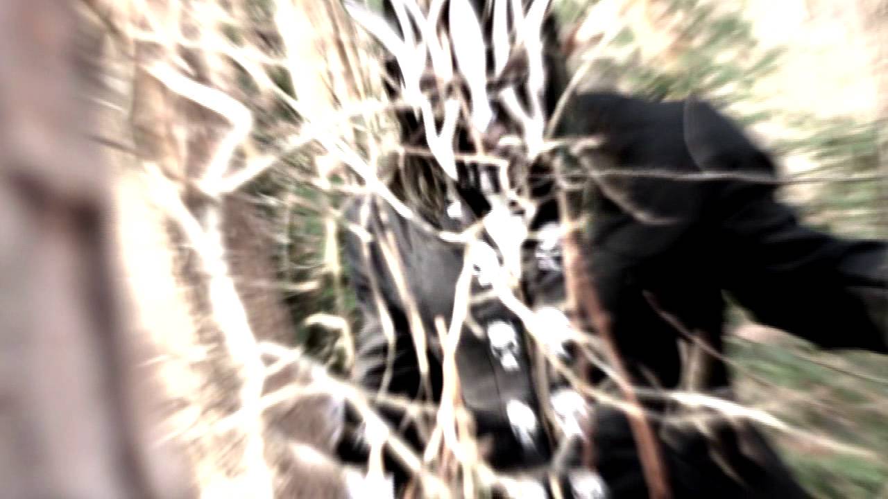 YouTube player