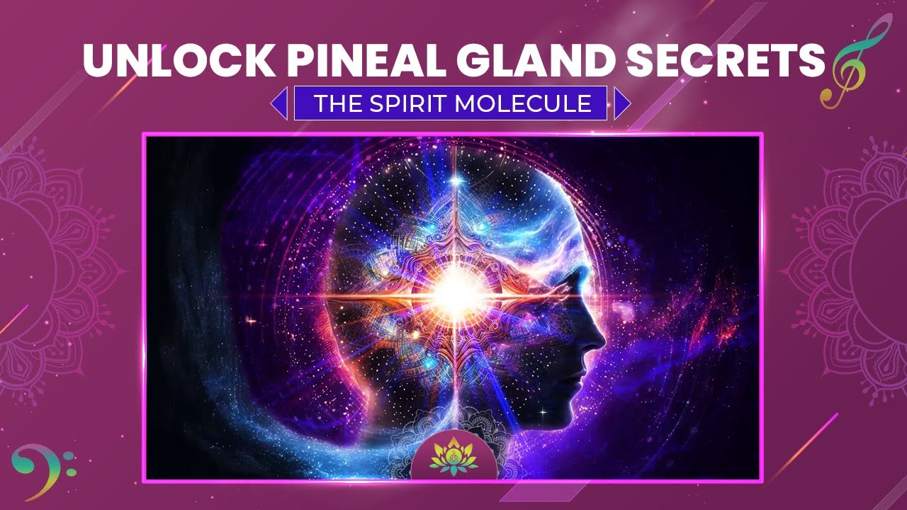 Unlock Your Pineal Gland Secrets - Release DMT, The Spirit Molecule ...