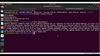File Transfer In Python - Sending and receiving files