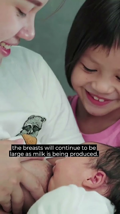 What happens to Breasts during Pregnancy? - with Dr Tasha #shorts #breastfeeding #breastcancer