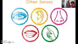 Other Senses - AP Psych