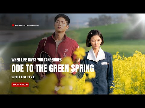 [Re-Imagined] Chu Da Hye — Ode to the Green Spring | 귤이 주렁주렁 OST