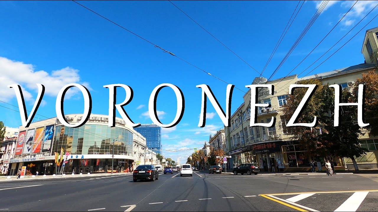 Воронеж гагры на машине