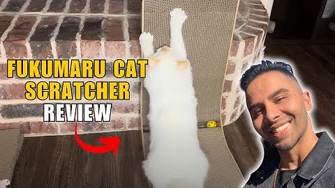 FUKUMARU Cat Scratcher Review: Best Cat Scratching Cardboard!
