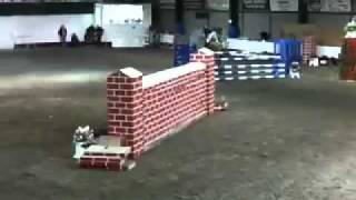 Tinarana Sandyman Puissance Ennis 1.80m