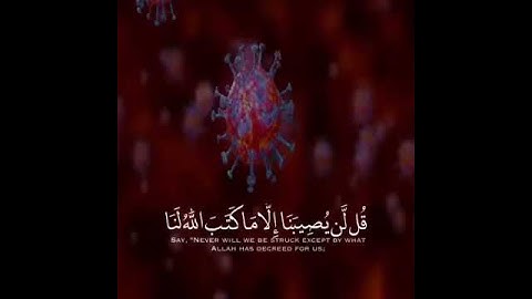 القارىء احمد العجمي سورة التوبة