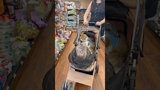 Our kind of reTAIL therapy 🥰🛒  #catmom #catshorts #shopping #retailtherapy #catvideos