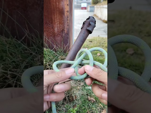 A simple but very effective knot #tipsandtricks #knots