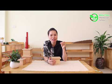 Video Giới thiệu giáo cụ HỘP ĐƠN THỨC- Baby Trees Montessori - youtube