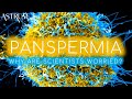 The Real Worry About Panspermia