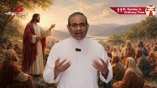 11th Sunday of Ordinary Time Homily | 14th June, 2026