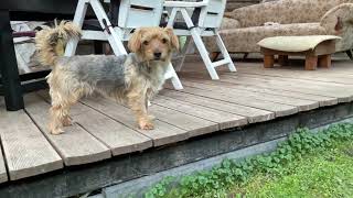 On The Border - John Spendelow