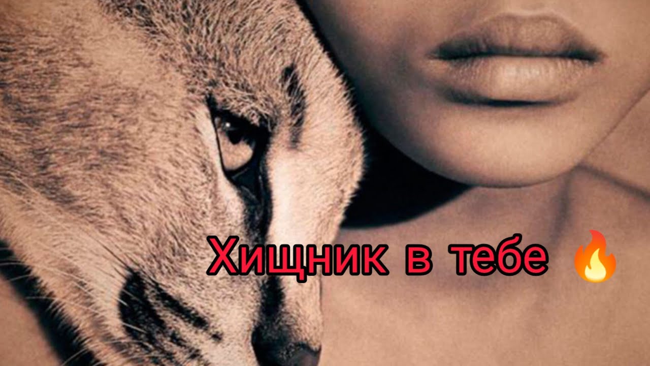 Внимание, Очень Сильный Ритуал⚡🔥🧿 Поток выхода из тумана в своей жизни⚡💥Донат Обязательно за ритуал⚡