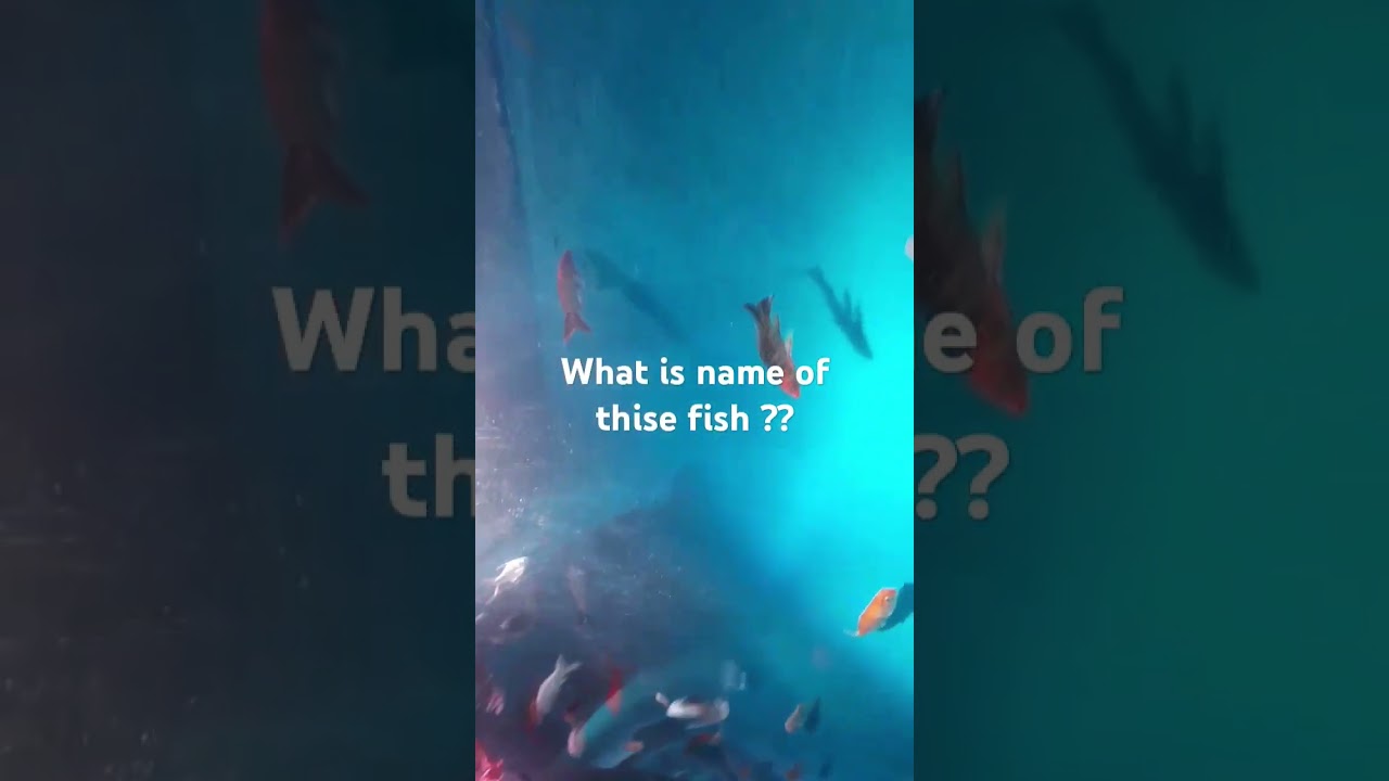 Big tunel in the sea 😲 