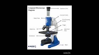 Compund microscope diagram #micrograph #anime #exam #music#cbse12thbiology #neet#study #nanoscope