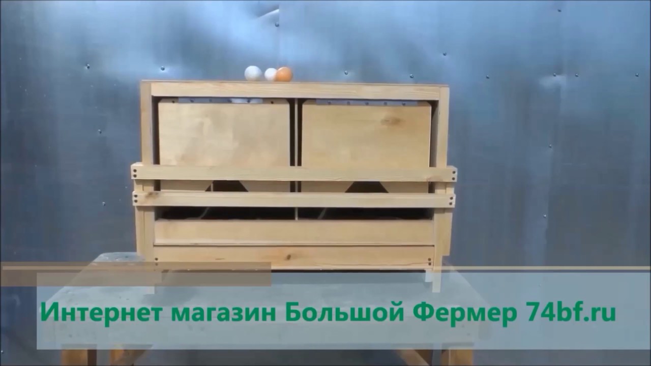 Гнезда для кур несушек с яйцесборником своими руками фото размеры и чертежи