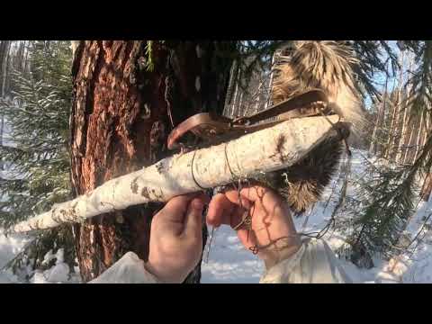 Добыли Соболя, поставили капкан на Волка 🐺 - YouTube