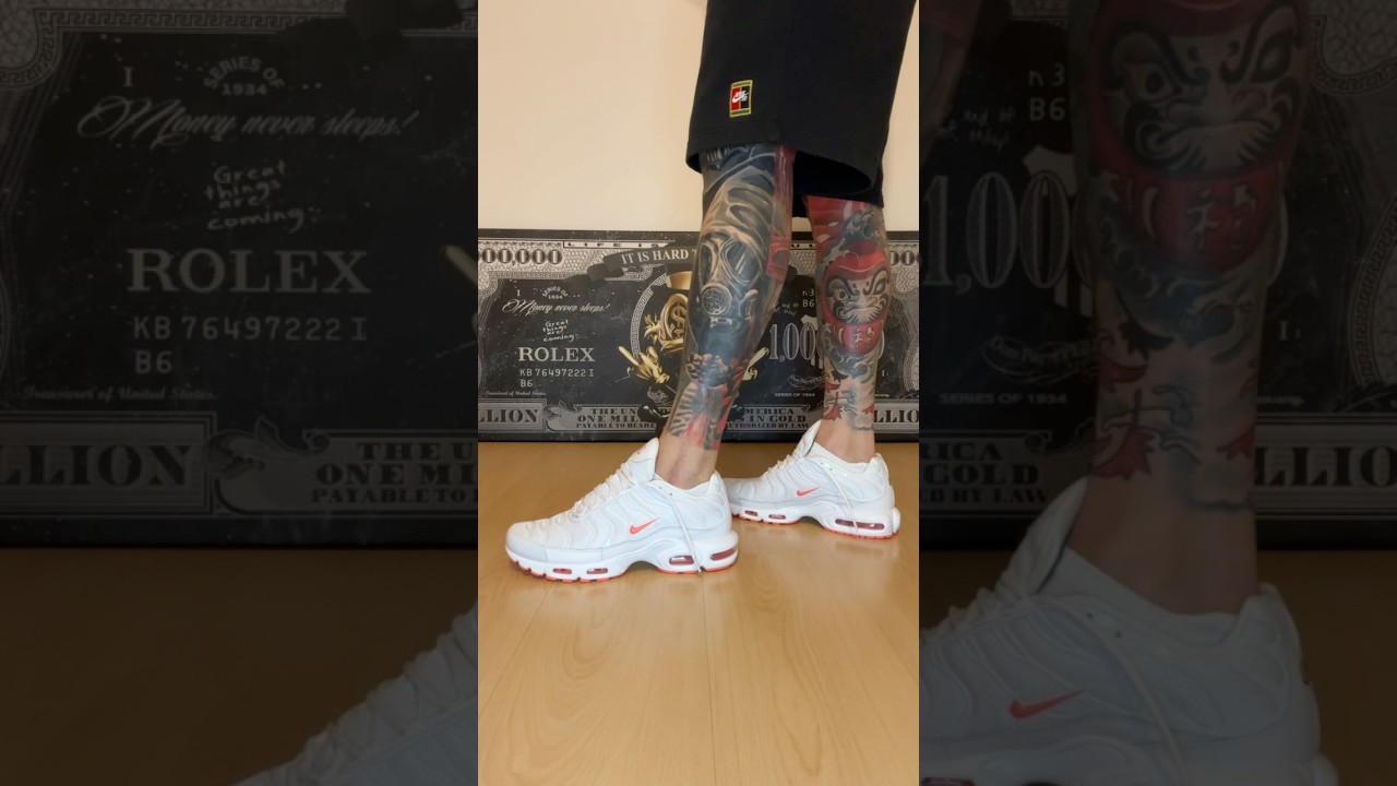 Nike Air Max Plus TN 🦈🔥 Collector / Collection 