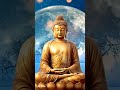 Don't fall in love anywhere except Buddha. #shorts #buddha #sngautamkanpur