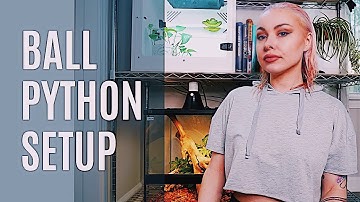 Ball Python Setup How To | Tank vs Tub Method
